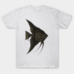 Black Angelfish - Vintage Japanese Style - Angel Fish T-Shirt